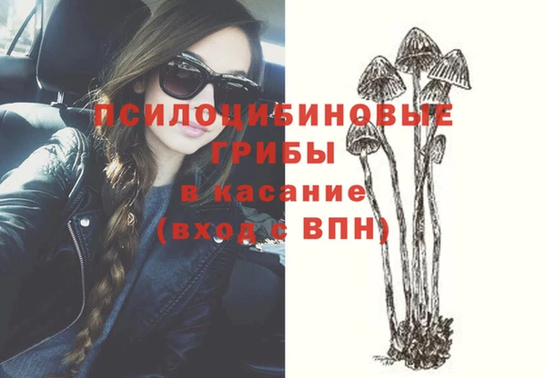 твердый Аркадак